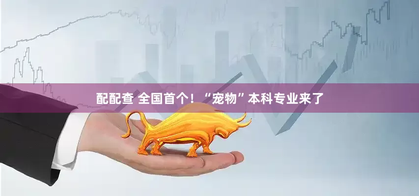配配查 全国首个！“宠物”本科专业来了