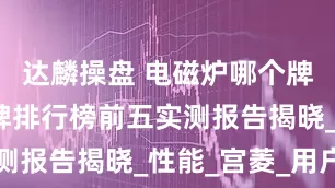 达麟操盘 电磁炉哪个牌子好？品牌排行榜前五实测报告揭晓_性能_宫菱_用户