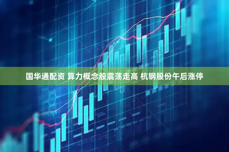 国华通配资 算力概念股震荡走高 杭钢股份午后涨停