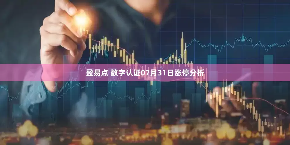 盈易点 数字认证07月31日涨停分析