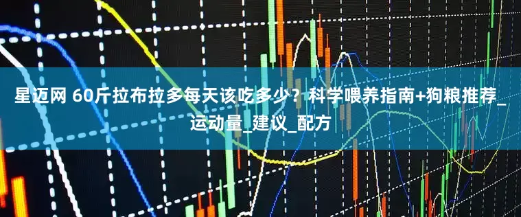 星迈网 60斤拉布拉多每天该吃多少？科学喂养指南+狗粮推荐_运动量_建议_配方