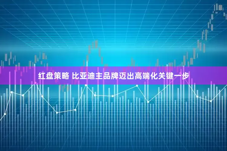 红盘策略 比亚迪主品牌迈出高端化关键一步